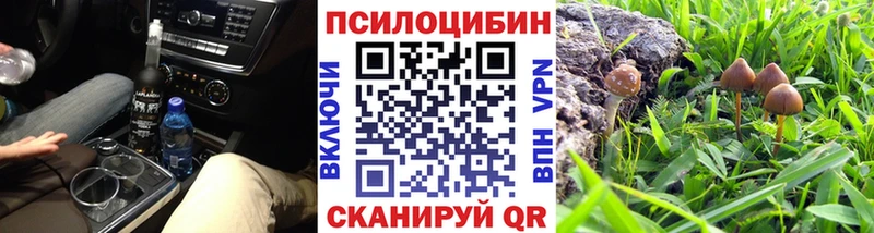 Галлюциногенные грибы MAGIC MUSHROOMS Тавда